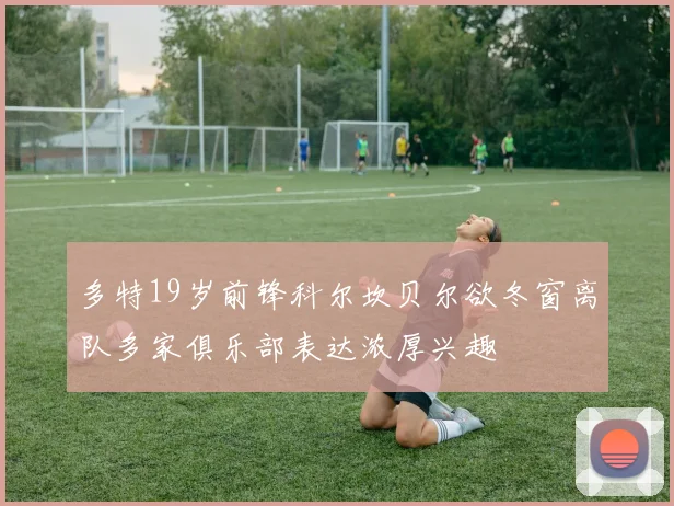 多特19岁前锋科尔坎贝尔欲冬窗离队多家俱乐部表达浓厚兴趣