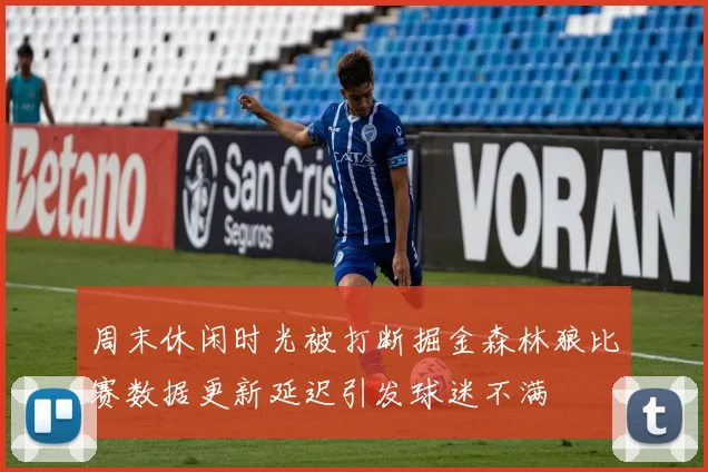 周末休闲时光被打断掘金森林狼比赛数据更新延迟引发球迷不满