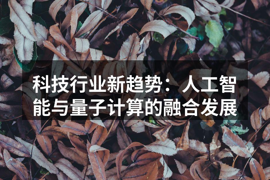 量子计算机的内部结构